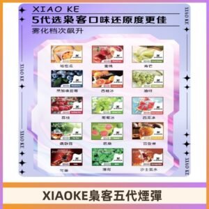 梟客五代煙彈|XIAOKE可替換式電子煙|通用Relx6代|ILIA五代主機