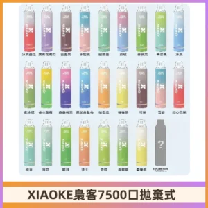 梟客XIAOKE|7500口可發光拋棄式電子煙 跑馬燈一次性